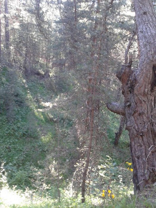 2012-06-17 16.40.20.jpg