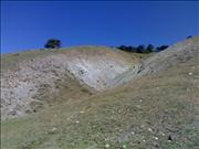 08072008208