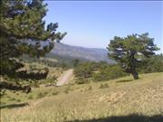 08072008215